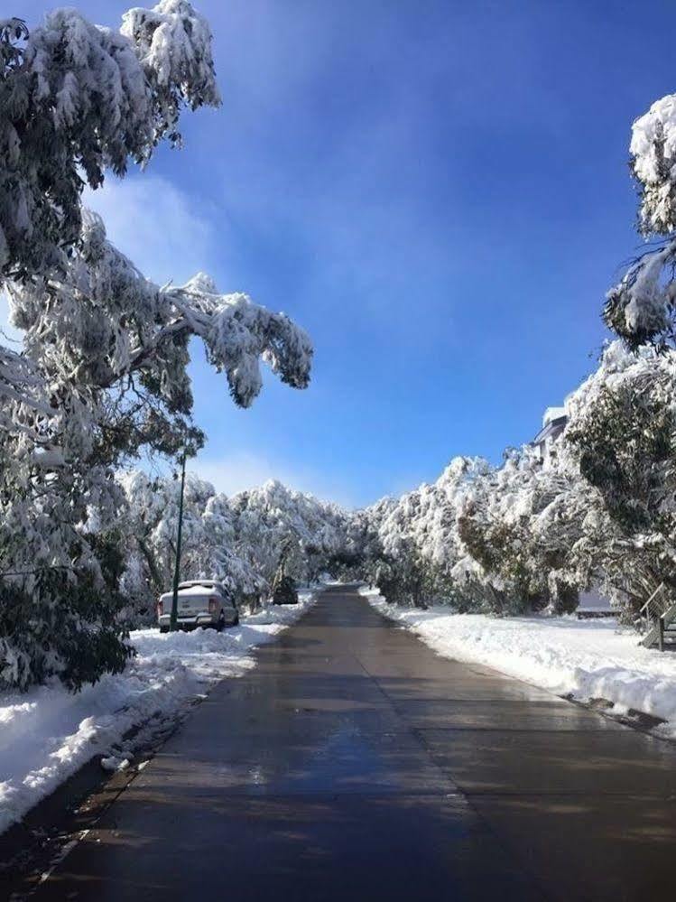 Amber Lodge Mt Buller Mount Buller Eksteriør bilde